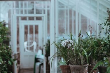 greenhouse gardening beginners